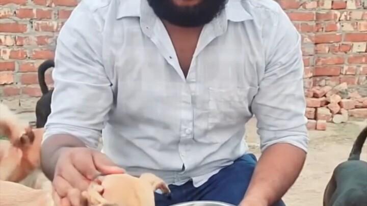 my dog lover #dog please follow & shear🙏🙏🙏