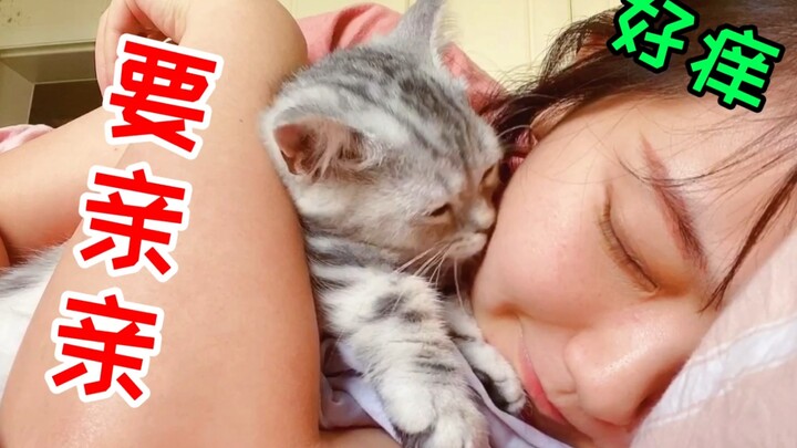 น้องแมวจ๋า! อย่ามาจุ๊บอีกนะ! ฉันเป็นคนตื่นเช้าแล้วหงุดหงิดเว้ย!