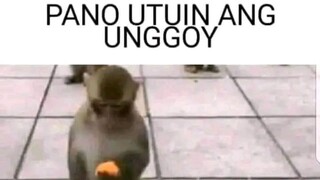 Panuorin mo