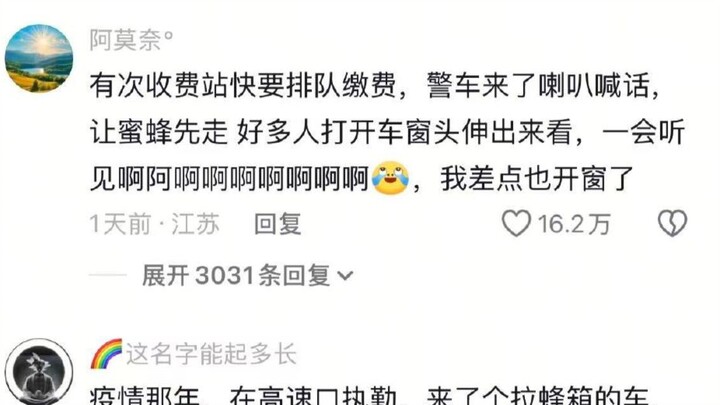 Sure enough, every absurd rule has a much more painful lesson behind it 🤣👌