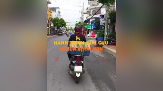 Hành trình giải cứu bé cún bị tai nạn Và cái kết