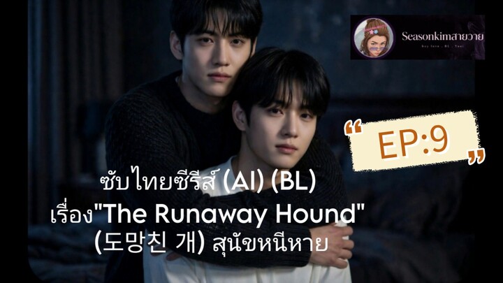 ซับไทย ซีรีส์ (AI) (BL) เรื่อง "The Runaway Hound" (도망친 개)  สุนัขหนีหาย EP:9