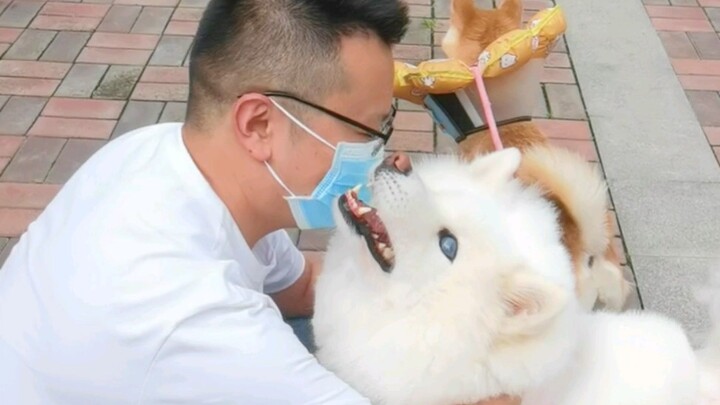 Pujian dari orang-orang di jalan selalu bisa menerangi dunia gelapnya ❤️