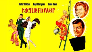 Cactus Flower (1969)