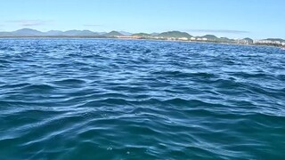 南海欢乐鱿鱼局