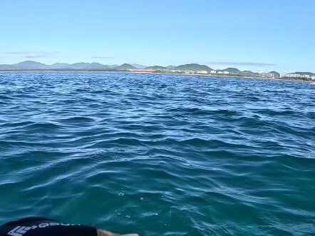 南海欢乐鱿鱼局