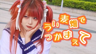 【兮白】羽衣麦田的守望者