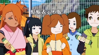 由通灵兽引发的争吵