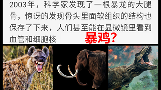 Fakta aneh dan menarik dari dunia hewan: Tyrannosaurus Rex, kamu masih bilang kamu bukan ayam?! (Koc