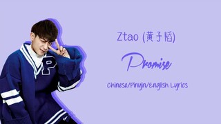 Promize - Zi Tao