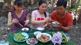 Gà Kho Gừng Chấm Đậu Rồng Cà Pháo Ăn Ngoài Vườn Thiệt Ngon| TKQ T540