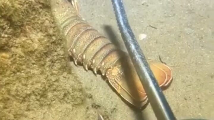 Video of fishing underwater