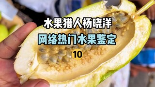 【صائد الفواكه】تحديد الفواكه الشائعة على الإنترنت 10