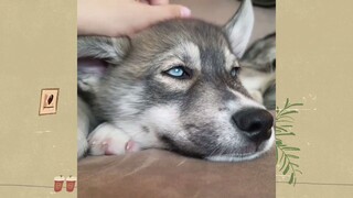 สัตว์ตลก_cut 193