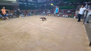 3 hits (win)