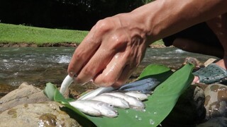 CÂU CÁ NƯỚNG CÁ BỜ SUỐI - Về thăm quê Ru ba than một chuyến đi đáng nhớ