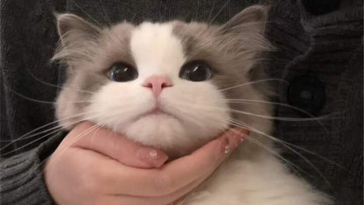 Turns out one single work can make your heart flutter 45 times!