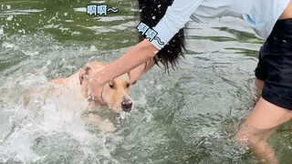 แอบพาหมาสองตัวออกไปเล่นน้ำกัน～
