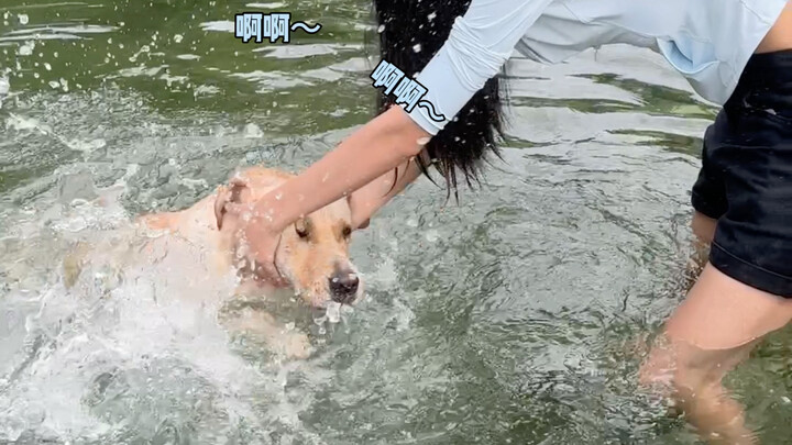 Secretly taking two dogs out for some water fun~