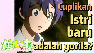Cuplikan | Istri baru adalah gorila?