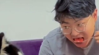 เจ้าของสอนสุนัขกินแตงโมด้วยช้อน หมาบอกว่า: คุณก็เป็นหมาที่ดีเหมือนกันนะ~