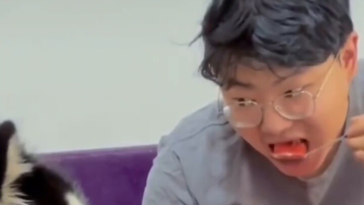 The owner teaches the dog how to eat watermelon on a spoon. The dog says: You are also a good dog~