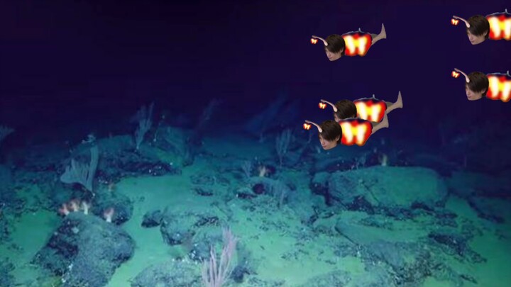 Hukum rimba yang berlangsung setiap hari di Teluk Tokyo