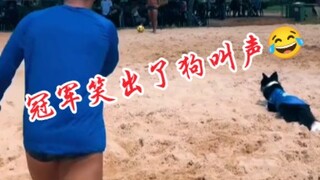 你敢信，我的队友是只狗~