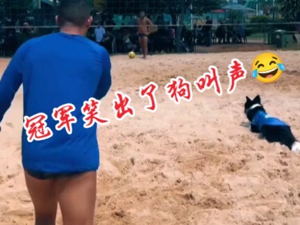 你敢信，我的队友是只狗~