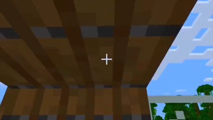 Minecraft: The World's Smallest House