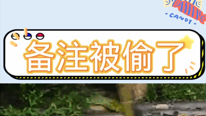 คนหาคู่ไม่เจอจนแทบคลั่ง… #คู่รัก #แฟนหนุ่ม #สติกเกอร์อารมณ์ #ชีวิตคุยประจำวัน