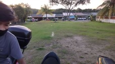 syuib main mercun