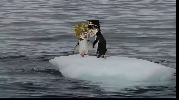 If DIO and Jotaro turned into penguins...