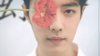 Xiao Zhan｜Healing Quick Cut｜Yigege