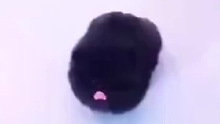 "A rolling meatball"