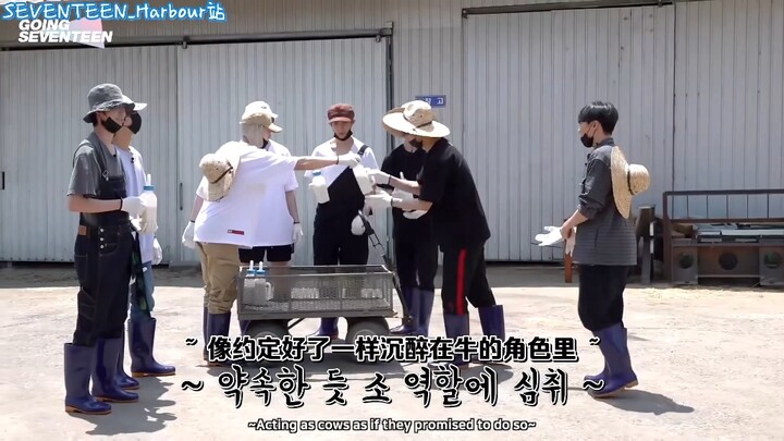 No way, Cui Bo, you really are something!