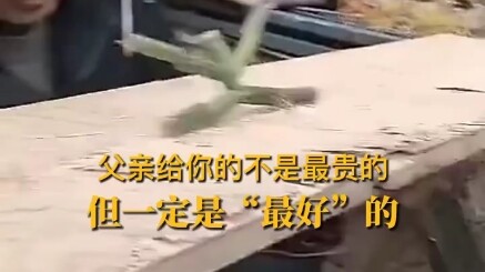 Did you ever play this as a kid?