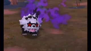 Pokémon GO-Shadow Galarian Zigzagoon