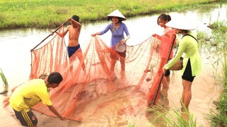 Kéo Lưới Cá Lòng Tong Về Nhúng Giấm Bông Điên Điển ● Nắng Đẹp Miền Tây | NĐMT #95