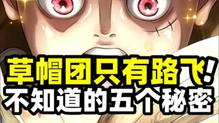 One Piece: Every member of the Straw Hat Crew is hiding a secret from Luffy! They wouldn’t even dare