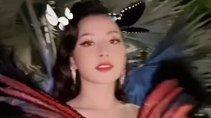 Chifu Chipu, can I come over to your place to see the butterflies? Beauty 😍