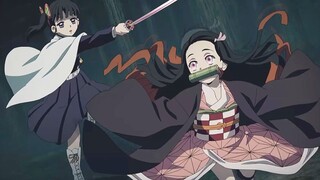 【Demon Slayer】Nezuko VS Kanao