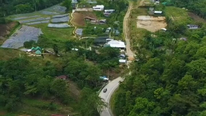 grabi sarAp pakingan Ng music nato