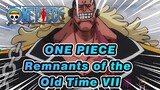 ONE PIECE|Remnants of the Old Time you can't afford to mess with!VII