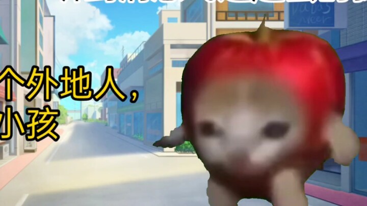 【Cat meme】Reopening at the age of 2, from an abandoned baby to an only child