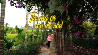 Tía má ơi, con dìa rồi nè! - Về quê miền Tây - Đặc sản miền sông nước