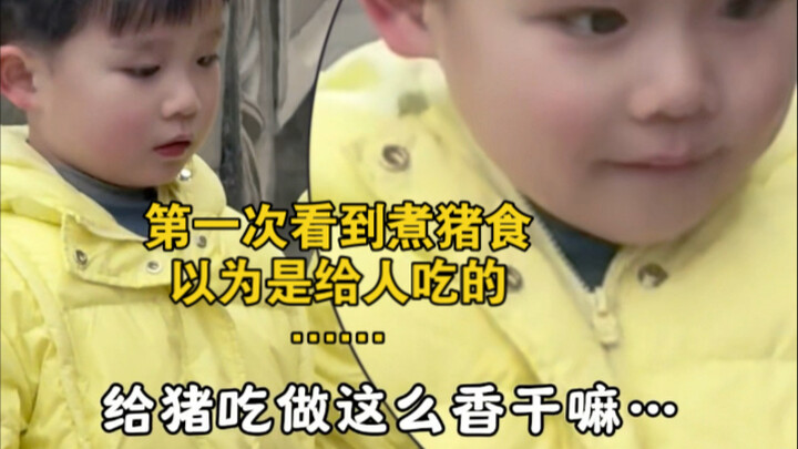 เรื่องราวเกี่ยวกับหมู ไก่ และสุนัขในช่วงไม่กี่วันมานี้