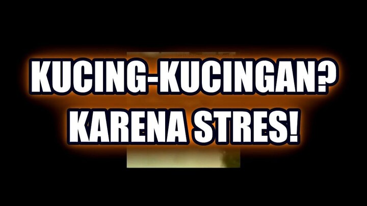 💥 JANGAN TANGGUNG-JAWAB KARENA 'KUCING-KUCINGAN' YANG TIDAK ADA ARTINYA!