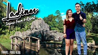 Eco Tour in Quezon Province - Ladines Resort + Food Trip (Pansit Habhab & Rodillas Yema Cake)