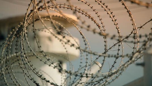 New Hollywood Hindi Movie